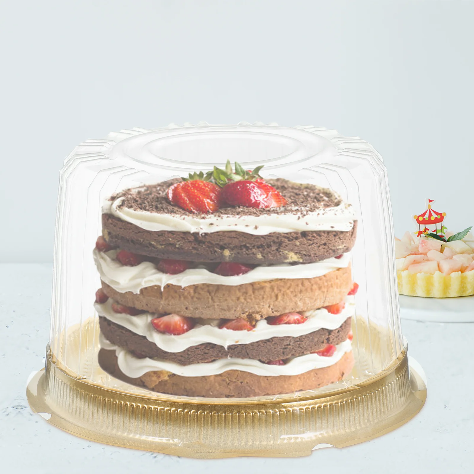 

10 Pcs Cake Box Wedding Stands Food Containers with Lids Boxes Carrier Dessert Plastic Slice The Pet Travel