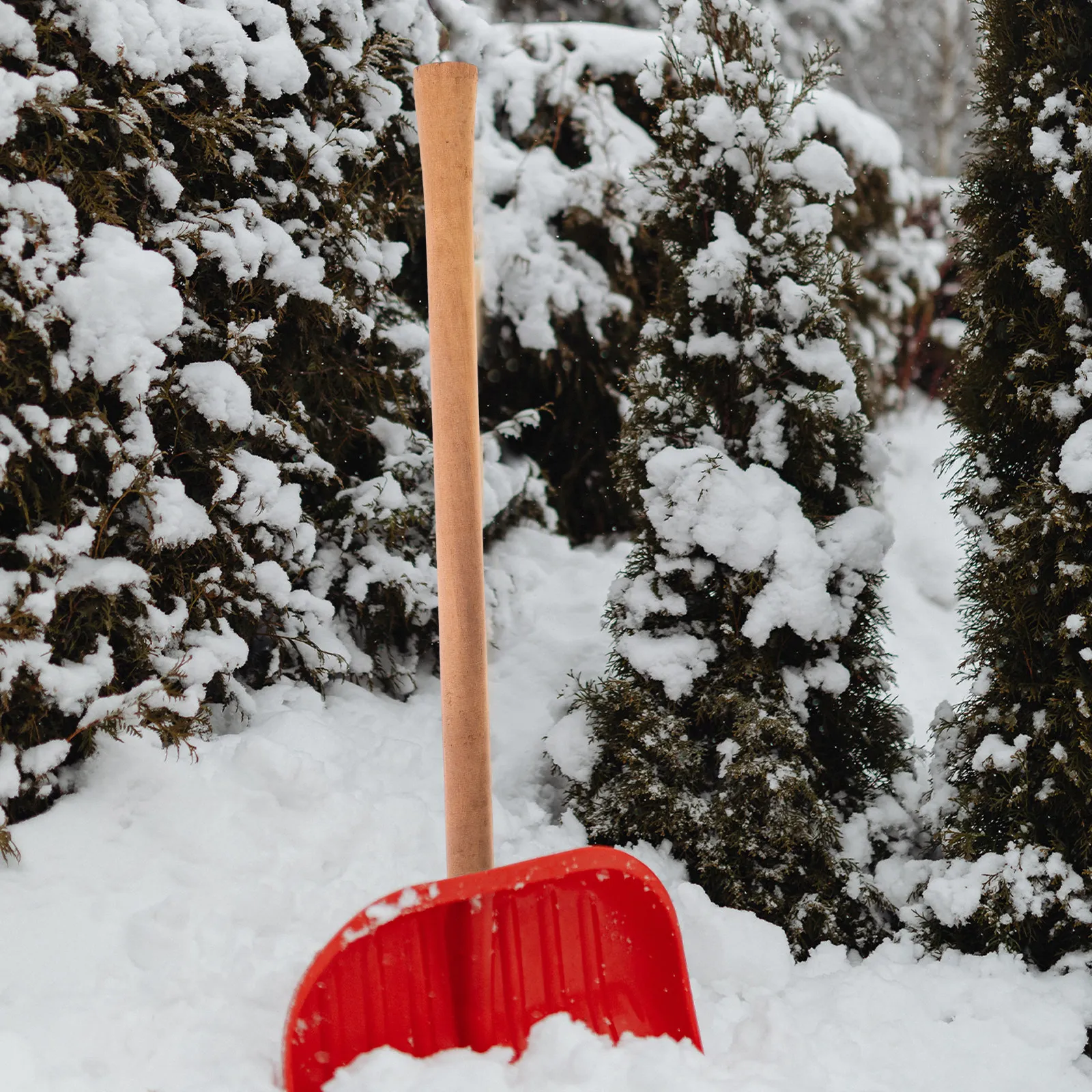 Wooden Handle Replacement for  - Gardening Tools Hoe 评论和价格
