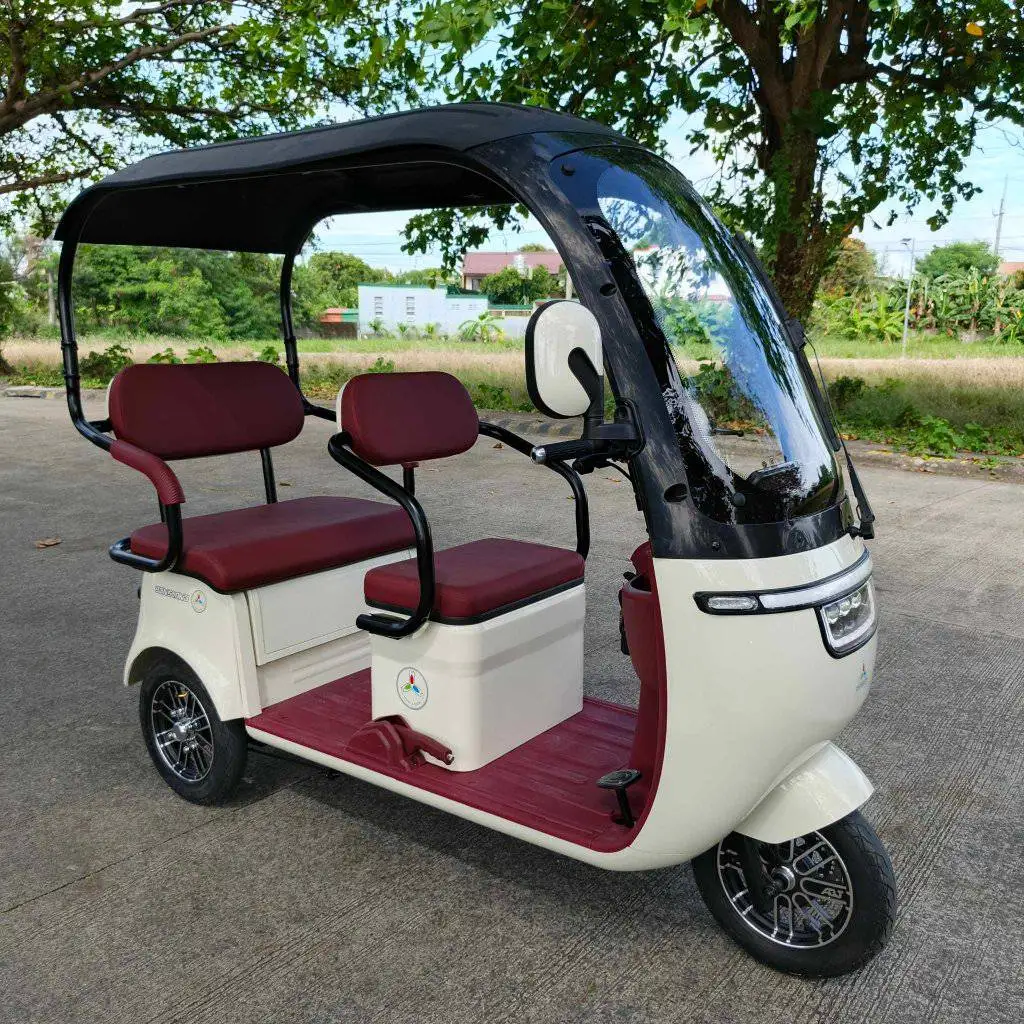 دراجة ثلاثية العجلات كهربائية 800 وات 60 فولت مع سقف دراجة كهربائية متعددة الاستخدامات للتنقل والترفيه