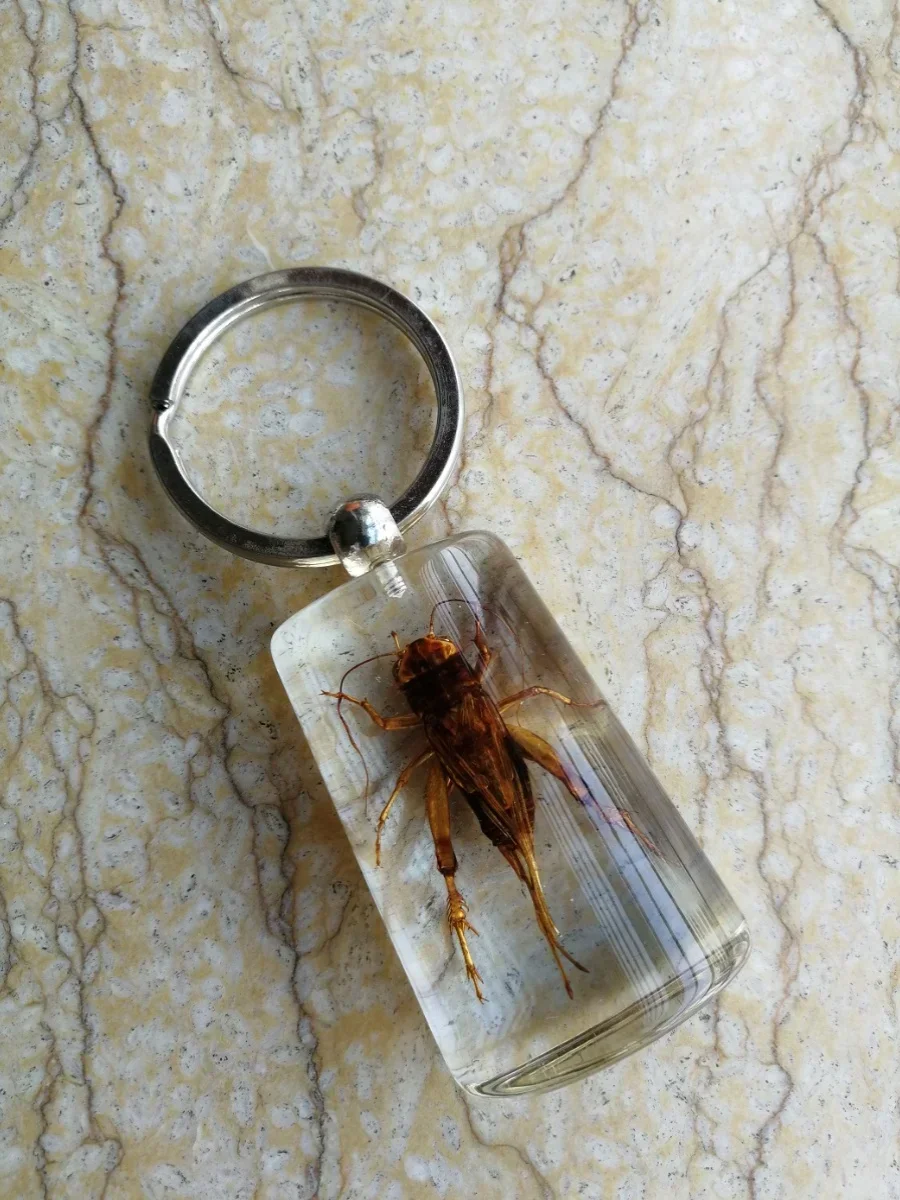 10pcs Amber Key Chain Insect Specimen Chain Pendant Scorpion Scarab Seven Star Ladybug Wasp Butterfly Car Key Ring Jewelry Gifts