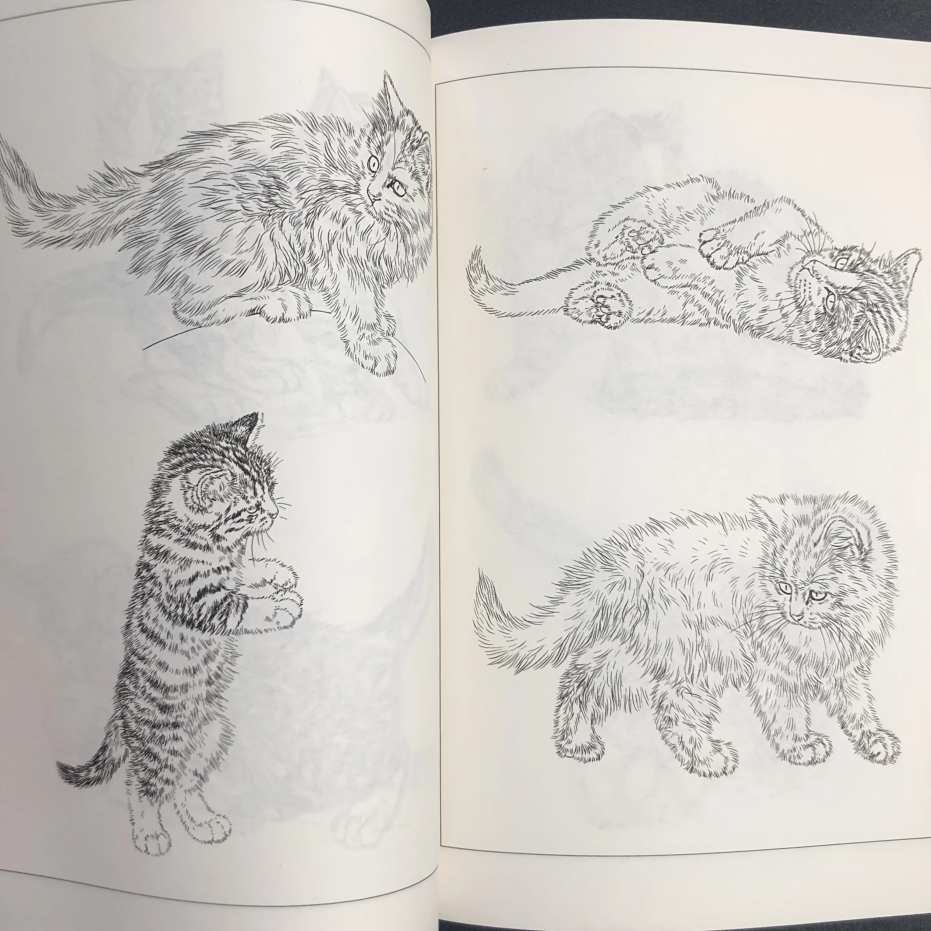 Coloring Book for Adults and Teens Featuring  with Easy and Simple Designs for Relaxation Chinese painting sketch