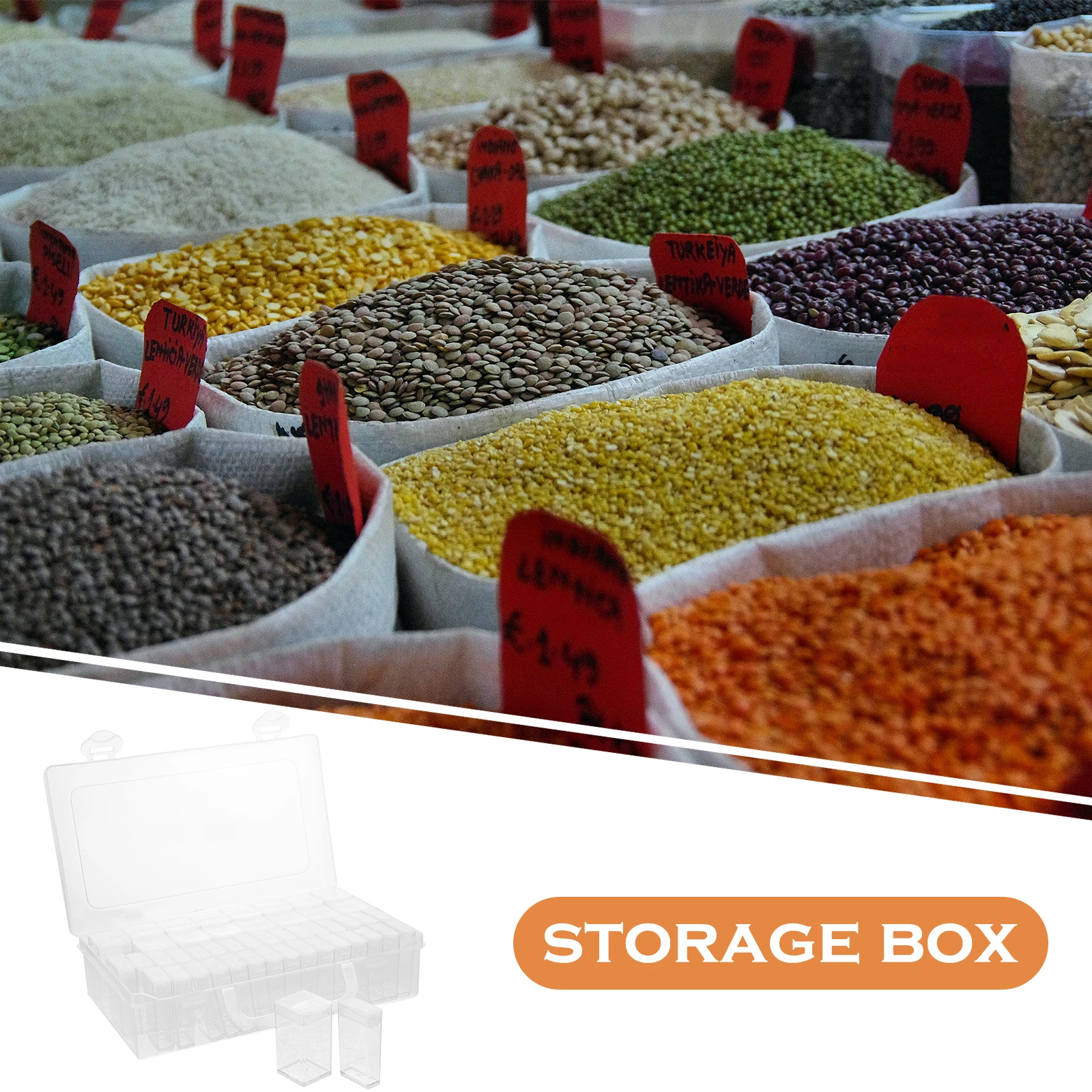 

1Set Seed Storage Box Clear Plastic Small Divided Organizer Compact Portable Seeds Organizer Case for Garden Seed Storage