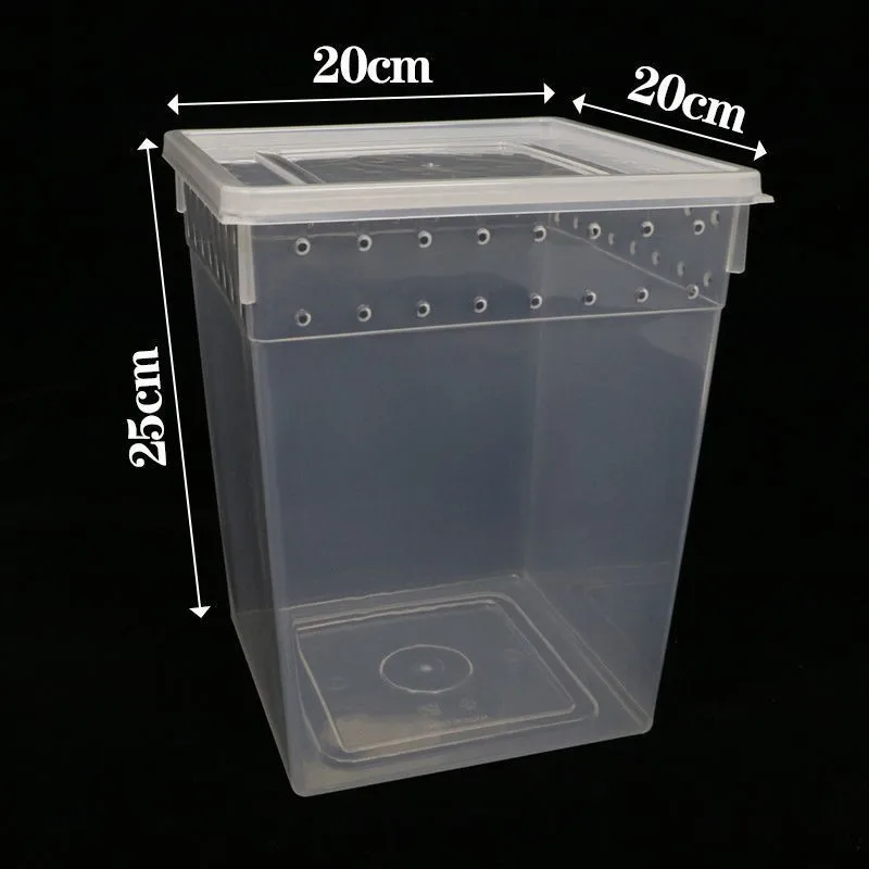 Mantis feeding  Mantis cage Insect feeding  Pet Mantis living feeding  Reptile  Cage