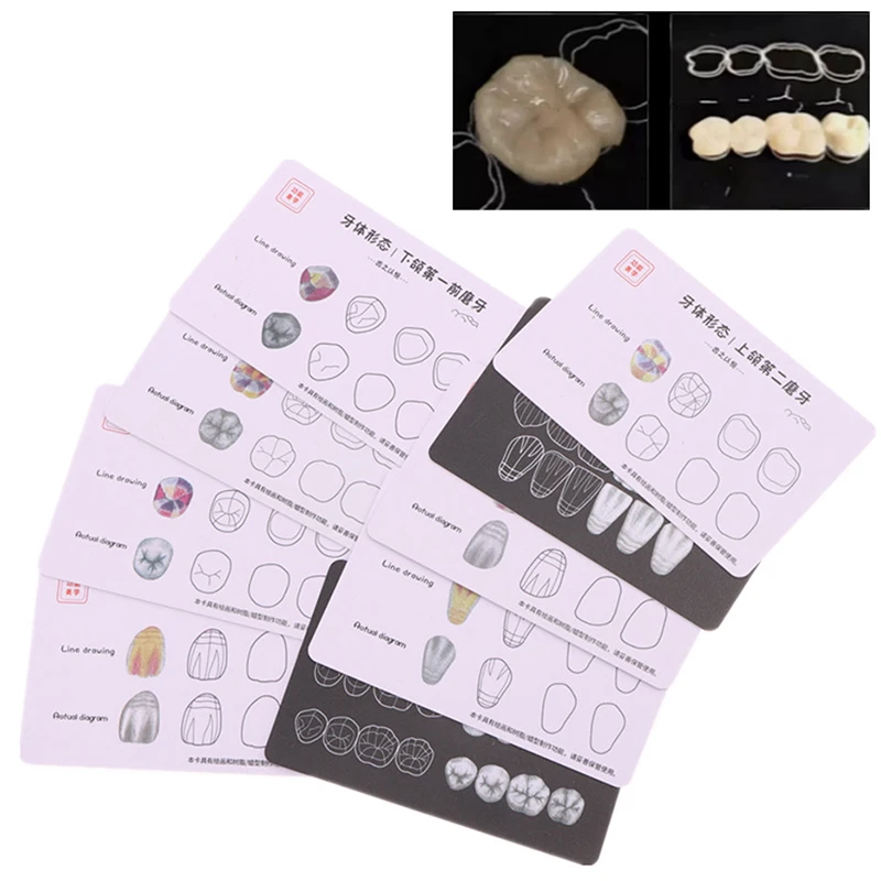 9 Sheet Dental Composite Filling Practice Board Model Teeth Template Restoration Cavity Dentist Anterior Posterior Practice