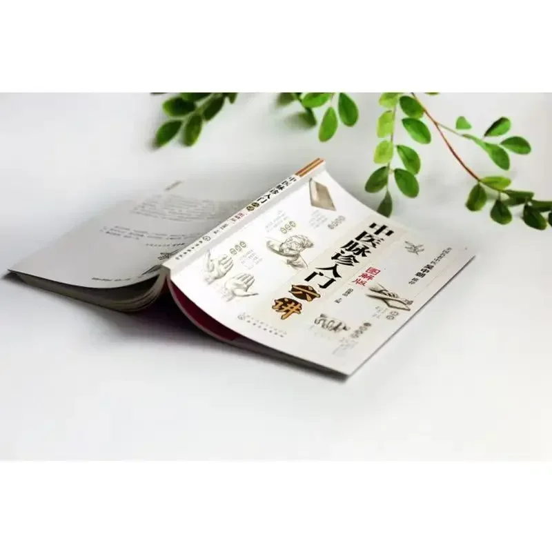 Six-Lecture Illustrated Introduction to TCM Pulse Diagnosis, Pulse Characteristics, Pulse Diagnosis Tips Book