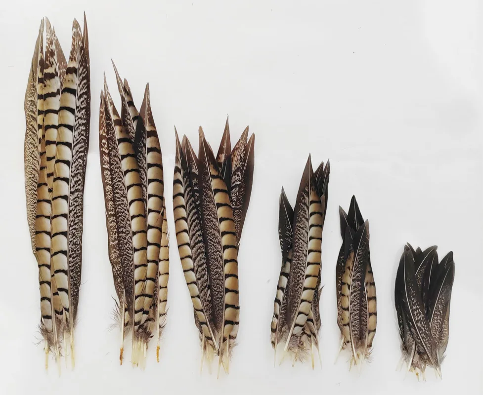 10/50Pcs/Lot!10-40cm Lady Amherst Pheasant Tail Feathers Wholesale Loose Feathers DIY Jewelry Stage Performances Decoration