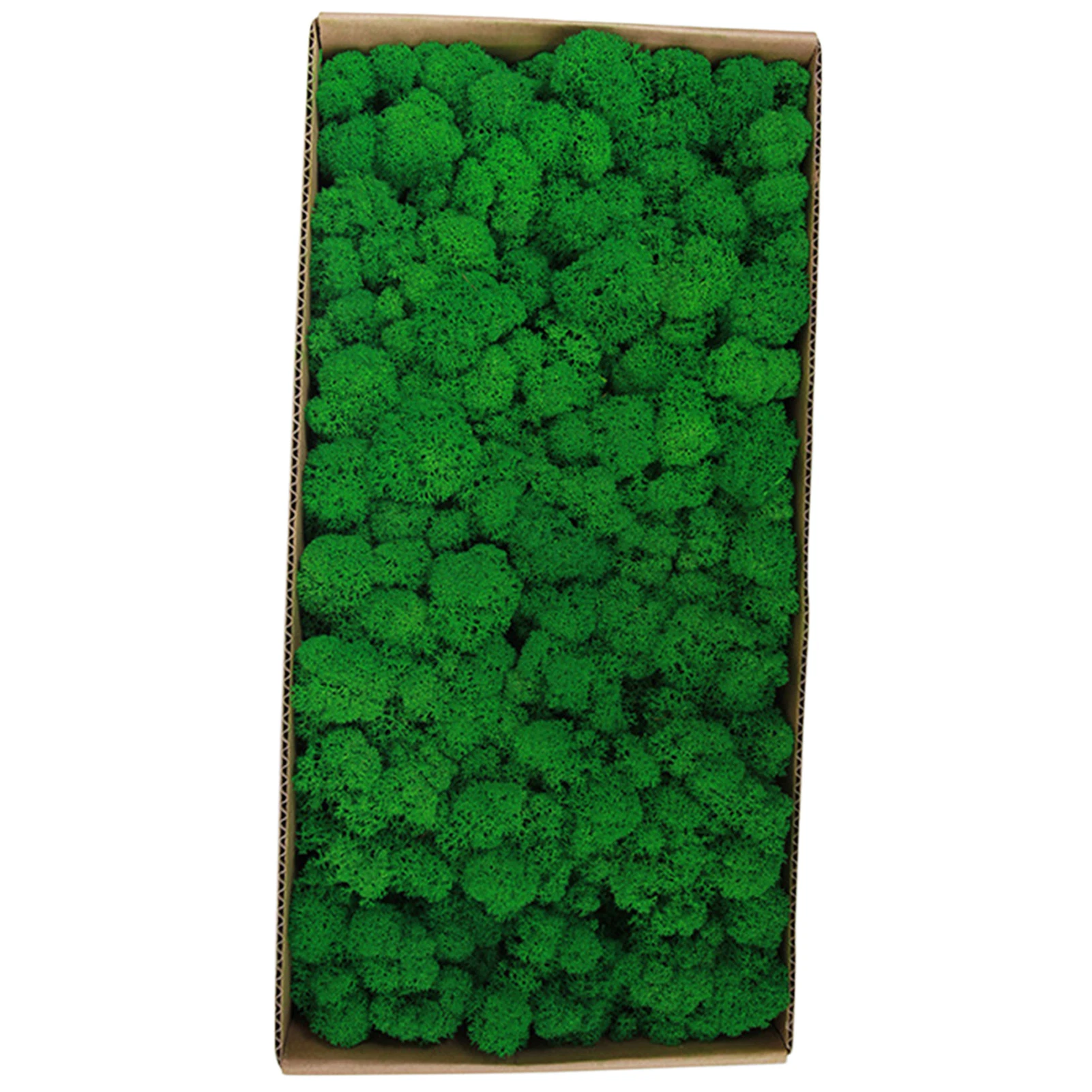 Geconserveerd mos Gardenning Art Wall Decor Moss Bulk Micro Landschap Decoratieve rekwisieten voor voeringmanden die raamdozen bedekt