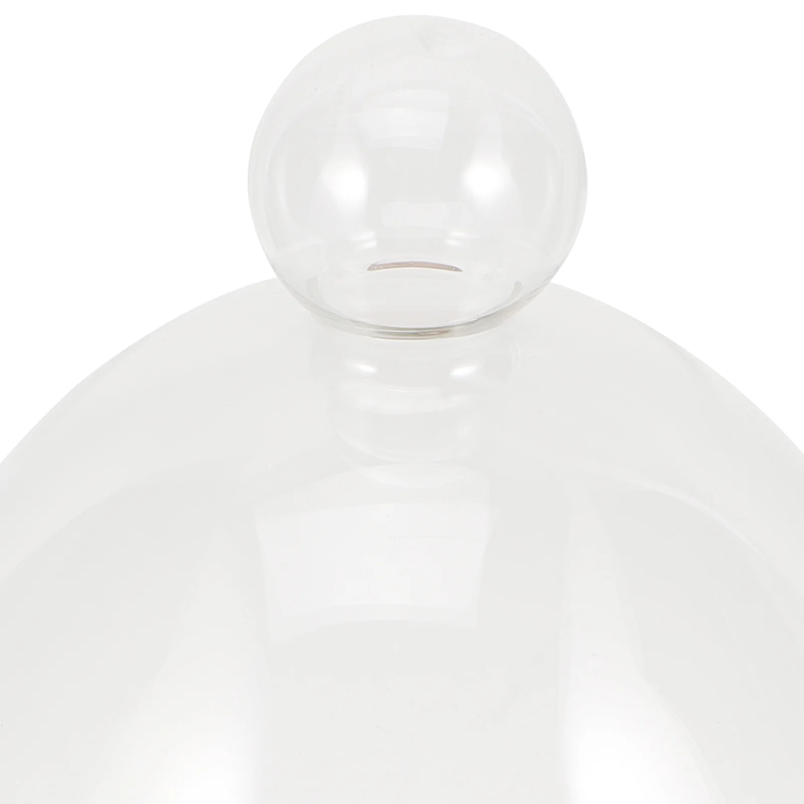 

Glass Dome Clear Display Cover Wood Base Eternal Flower Decoration Preserved Flower Cover Micro Landscape Clear Glass Dome