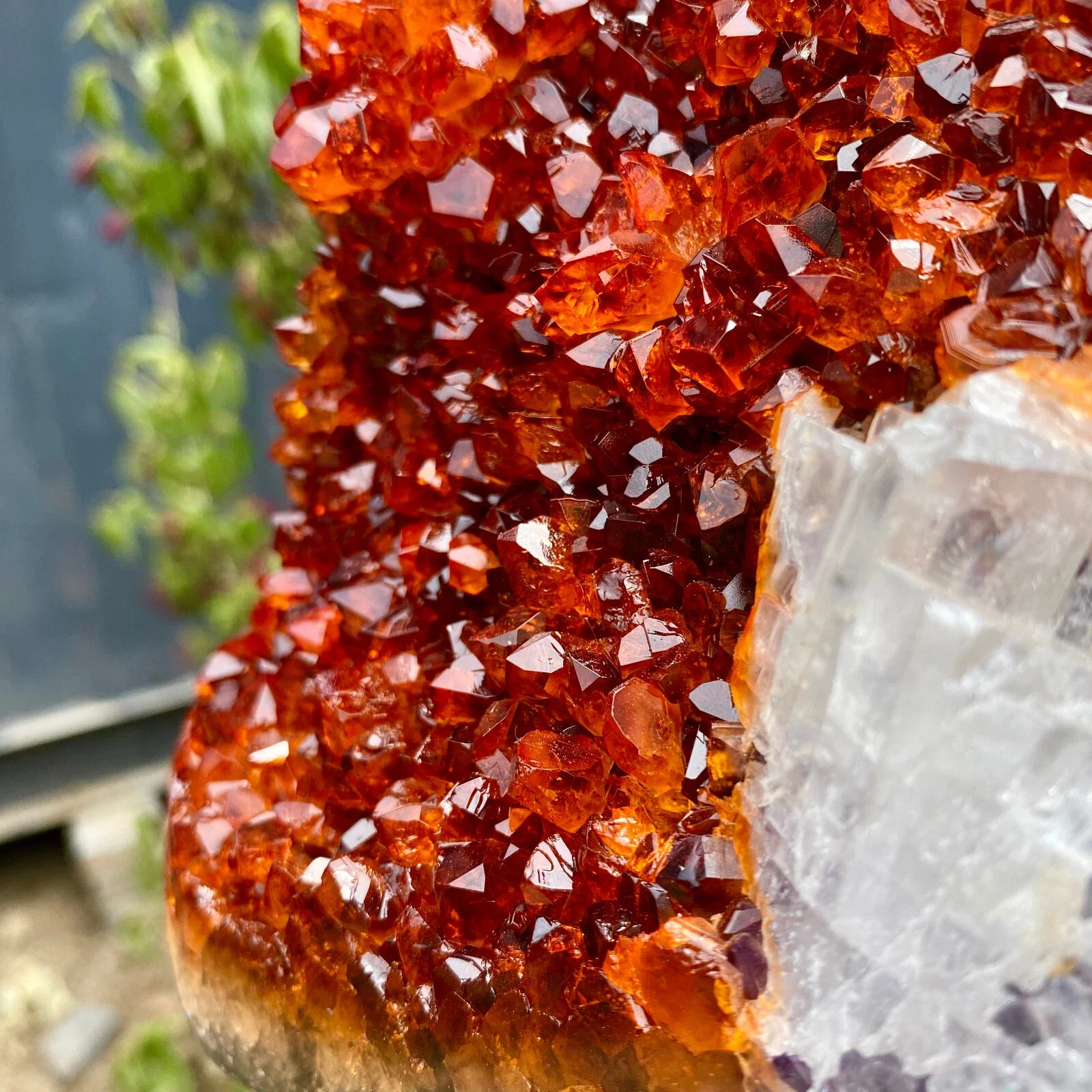 

Natural Brazilian Golden Crystal Cluster, promoting spiritual healing, suitable for home and office decoration, demagnetizing an