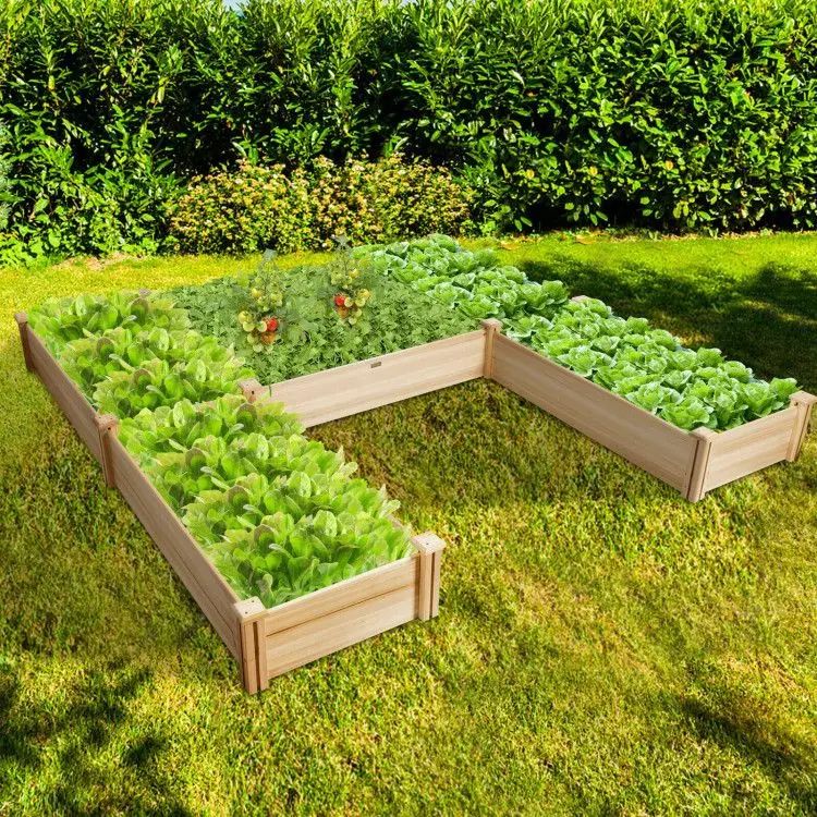 

U-Shaped Wooden Garden Raised Bed for Backyard and Patio