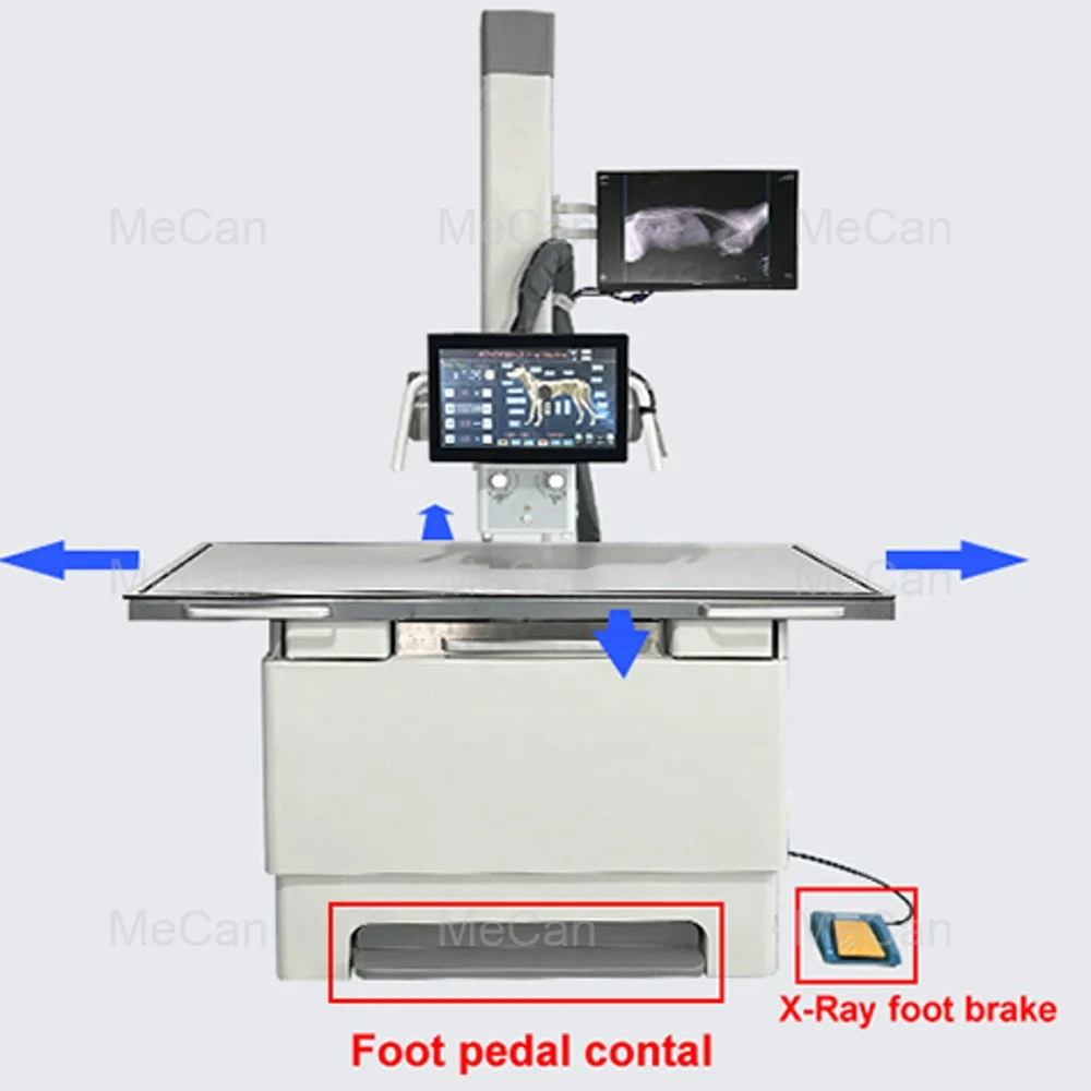 High End Vet Equipment 20KW Dynamic X-ray Machine 32KW Medical Digital DR Xray Machine for Veterinary