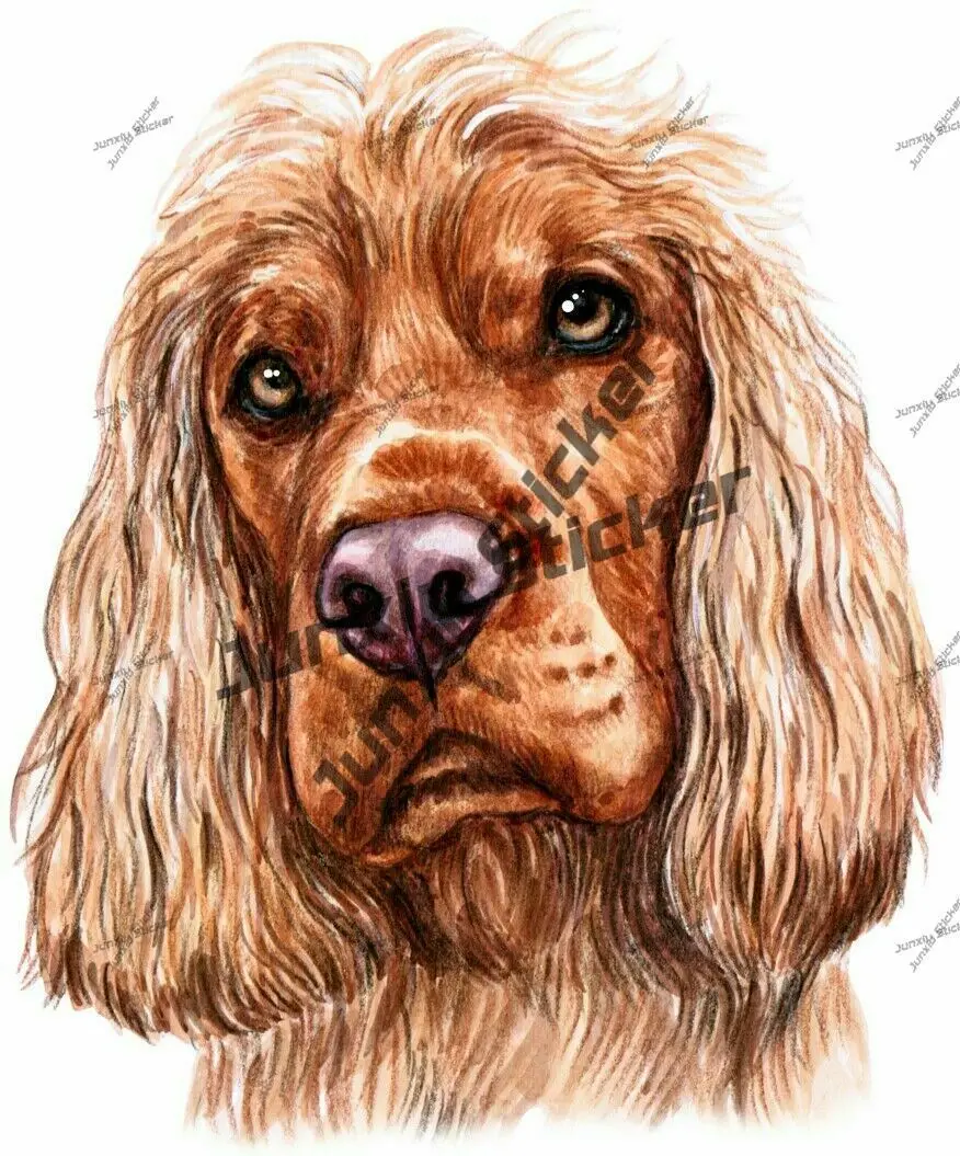English Cocker Spaniel Dog Car Decal SUV Laptop Stickers on Car Parts Scratch-Proof Accessories Engine Cover Decor Graphic