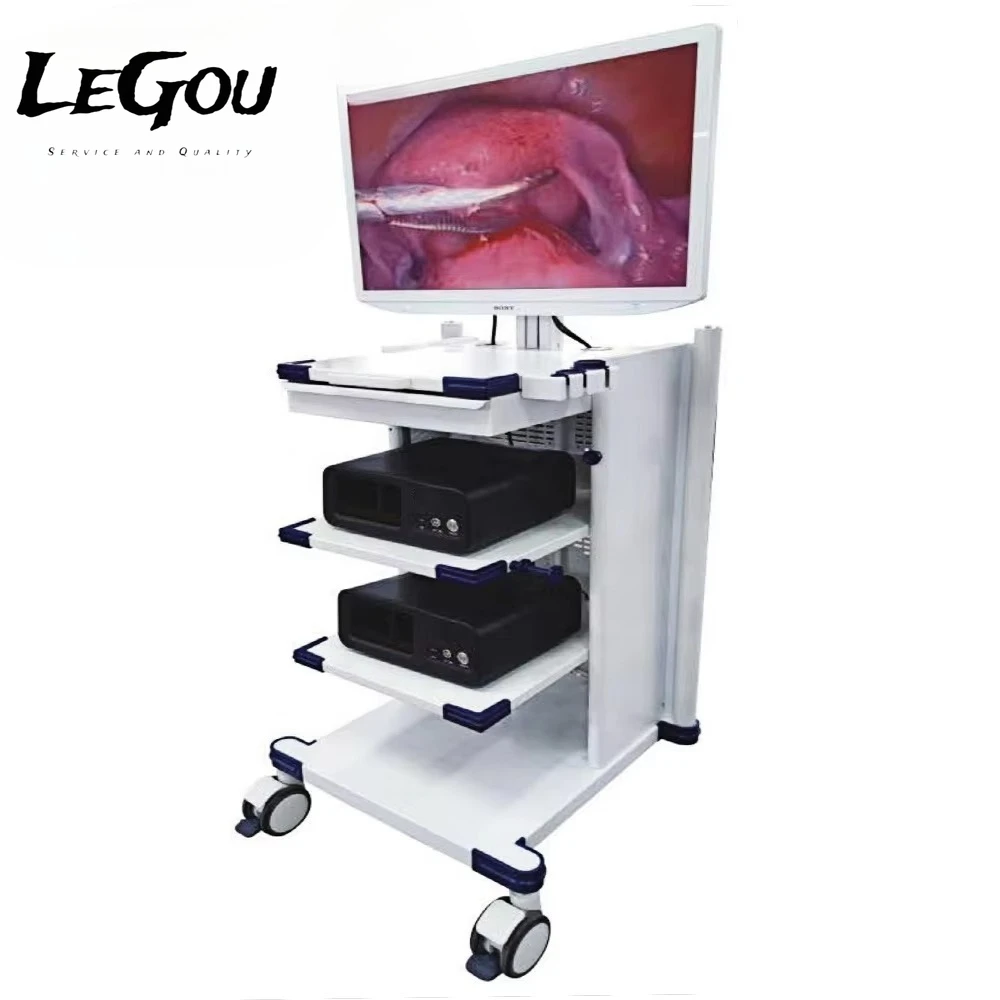 LeGou Professional Endoscopic Surgical Equipment LED Cold Light Source 4k Full