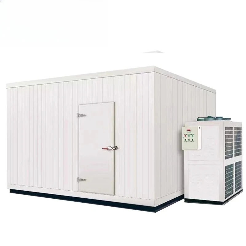 

Tiaoqiao 3 Ton Walk-in Fast Freezer Easy-to-Operate 100mm Solar Panel Bitzer Copeland Automatic Essential Cold Room Storage
