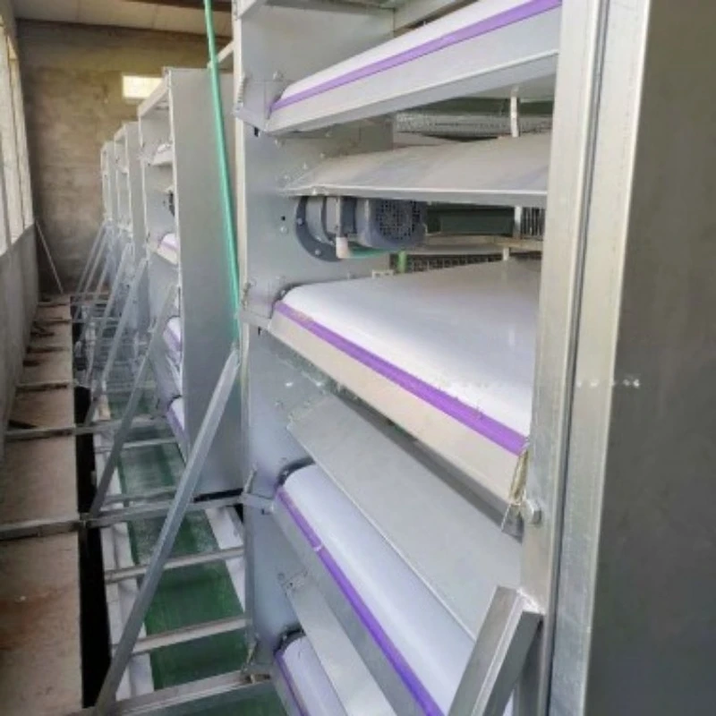 Automatic egg picking machine Automatic cascading layer cage, egg picking machine with egg collection