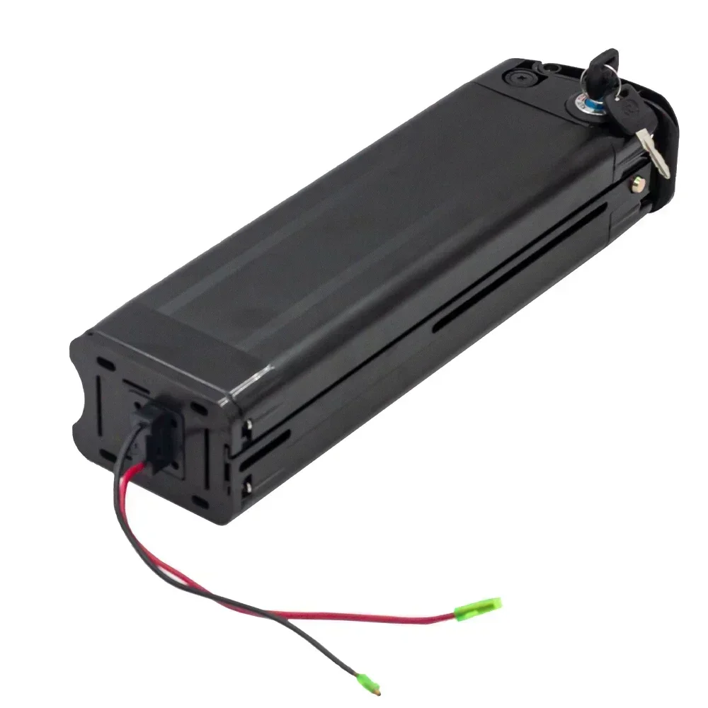 48V 20AH 15AH Zilvervisjes Lithium Elektrische Fiets 800W 500W 24V 36V Lithium Ion elektrische Fiets 48V18650 Batterij + Lader