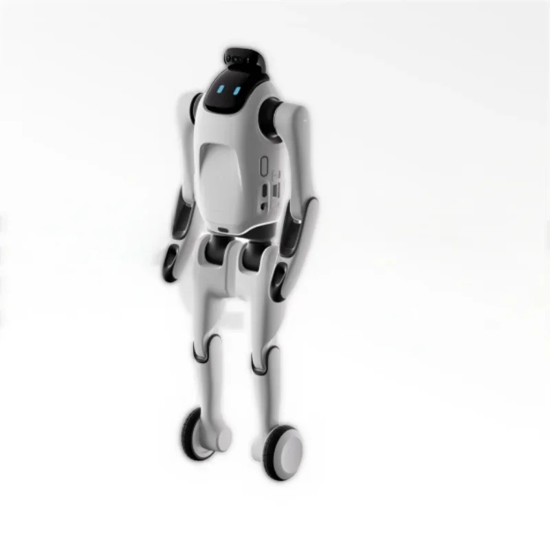 Transformable Humanoid Robot Education Entertainment Companion and Mobile Photography T1