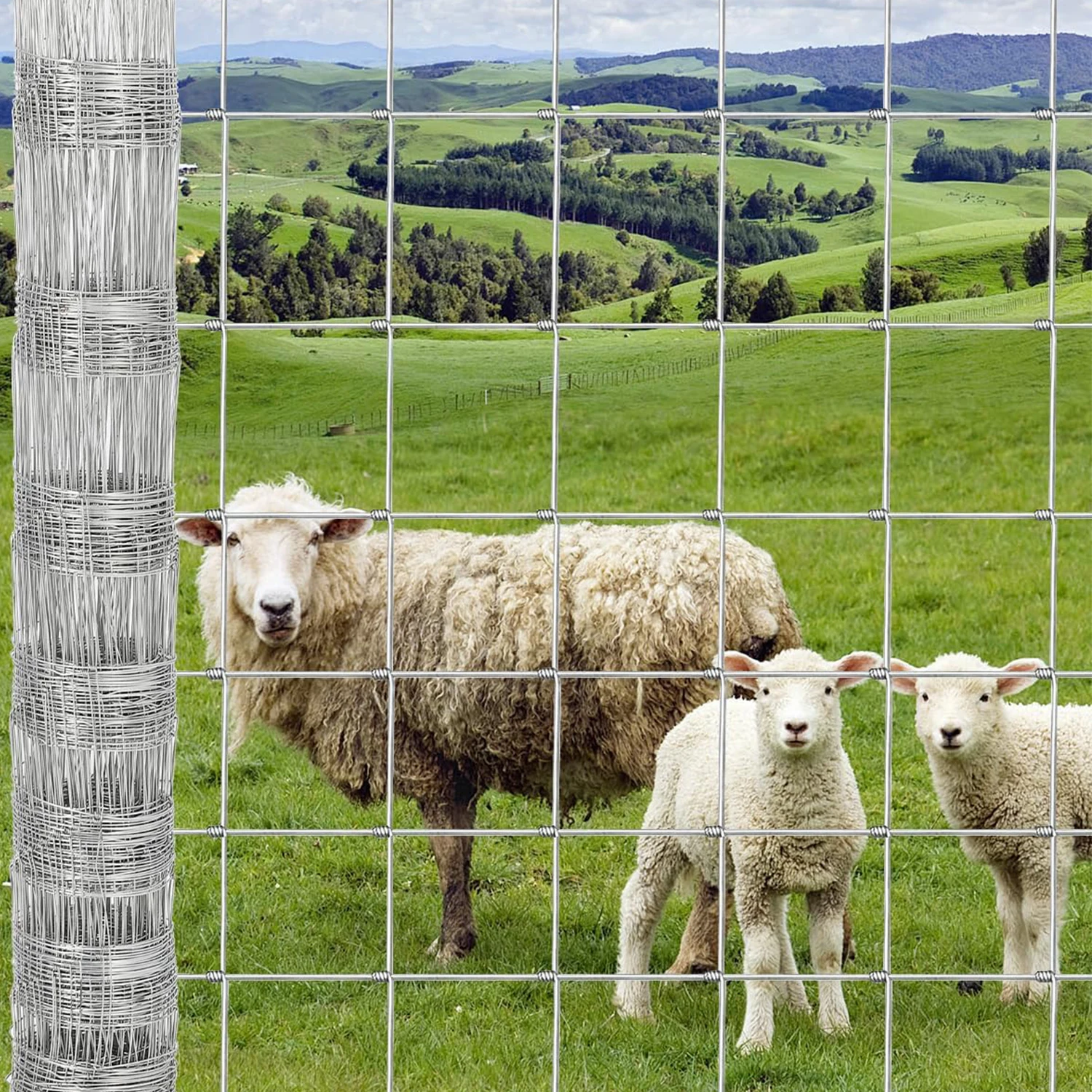 

Оцинкованные стальные панели для ограждений для скота, сверхпрочные проволочные сетки с цинковым покрытием, устойчивые к ржавчине, для загонов и пастбищ