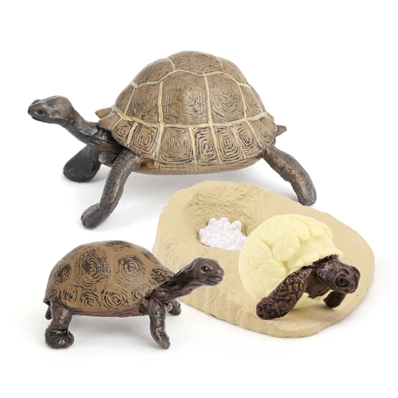 Simulation de la vie animale de la tortue, jouets pour enfants, subventionnement de la croissance des animaux, modèle de croissance des animaux