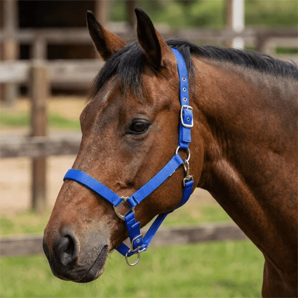 Adjustable Horse Halter Durable Nylon Equestrian Bridle Comfortable Wear Resistant Horse Training Rope Horse Training