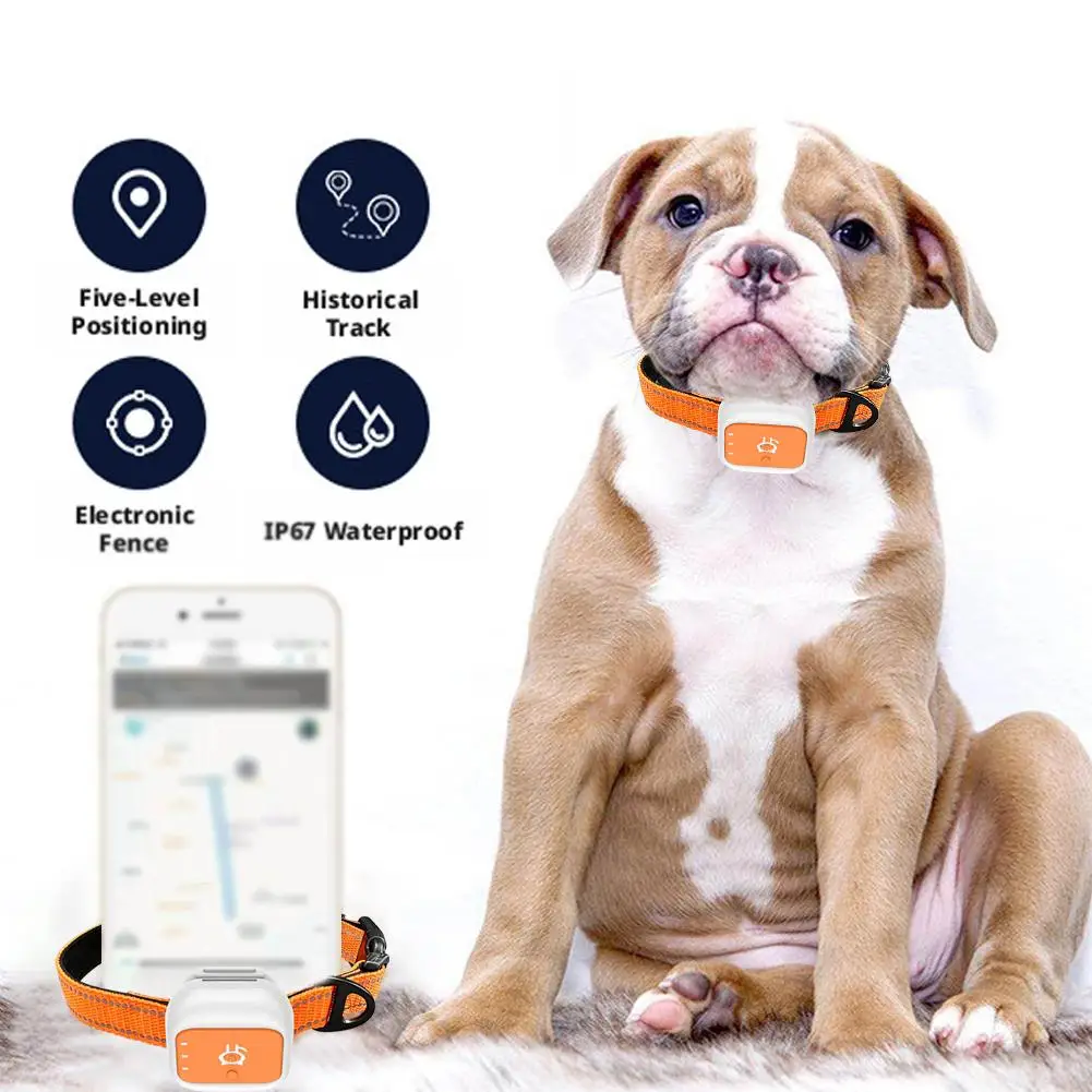 

Новый GPS-трекер для домашних животных 2026 года: мини-ошейник для отслеживания собак, оповещения о движении, защита от потери, для кошек и щенков, удаленный локатор