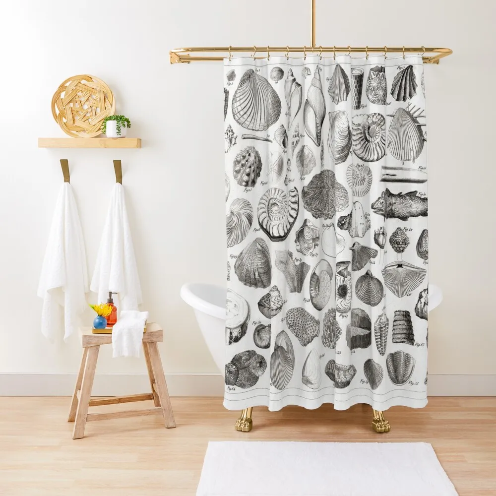 

1857 Diagram Paleontology: Fossils Shower Curtain Shower Waterproof Modern Bathroom Accessories Bathroom Accessorys Curtain