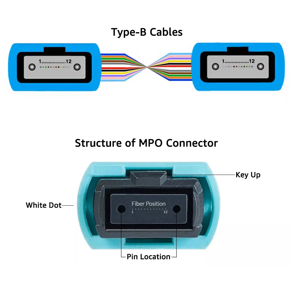 ADOP for MPO/MTP to MPO Fiber Cable 12 Fibers Female, 40GbE, 40GBASE-SR4, OM3 Multi-Mode, Type B Fiber Optic Cable