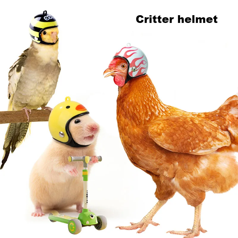 

Small animals chickens, birds, hamsters and other new helmets animal decorations toy dolls can also be used funny animal toys