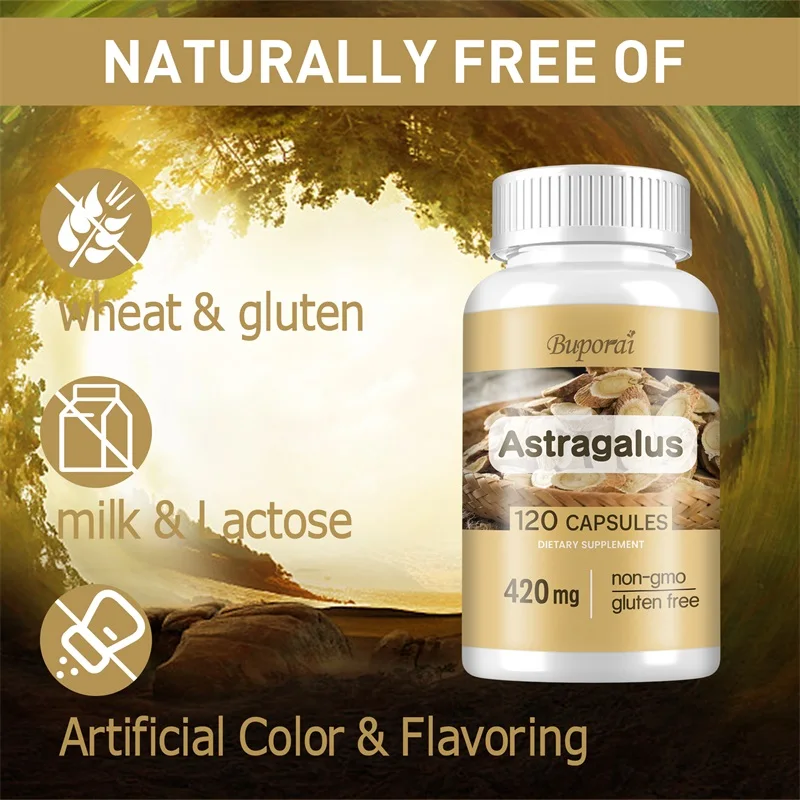 Astragalus Root Capsules - Heart and Liver Health, Immune System Support