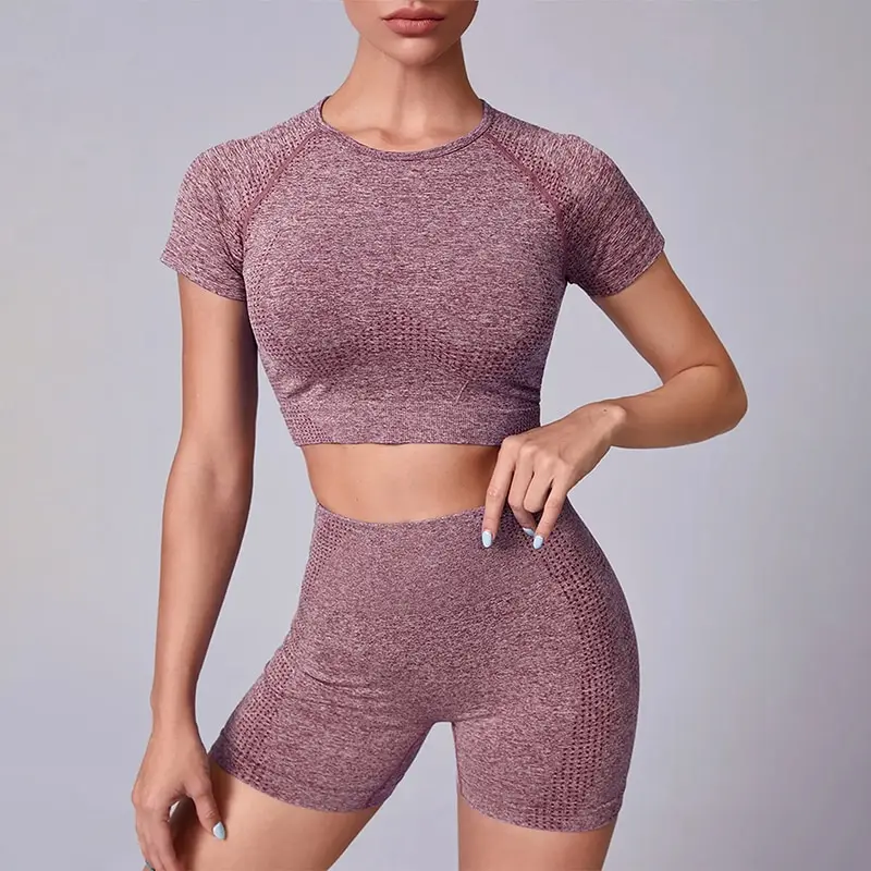 Women Seamless Yoga Outfits 2 Piece Set Workout Gym Shorts + Short Sleeve Crop Top