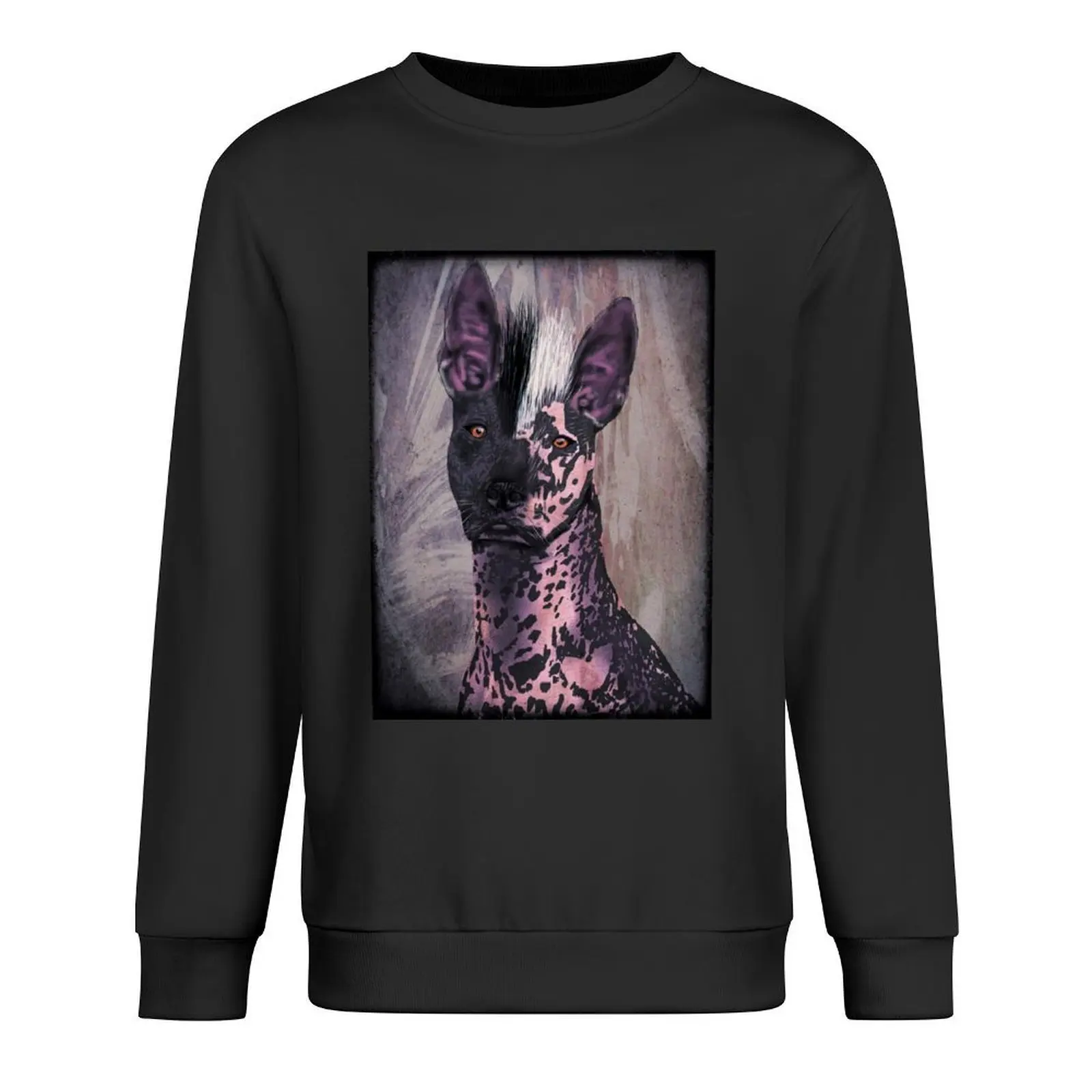 

Xoloitzcuintli (Mexican hairless dog) Pullover men's clothes men clothing clothes for men tracksuits hooded sweatshirts