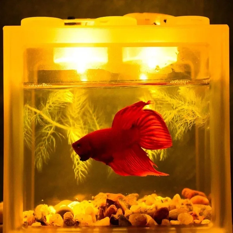 High-transparency Fish Tank Small Ecological Home Creative Fighting Ornamental Transparent Fish Fish Building Blocks Tank