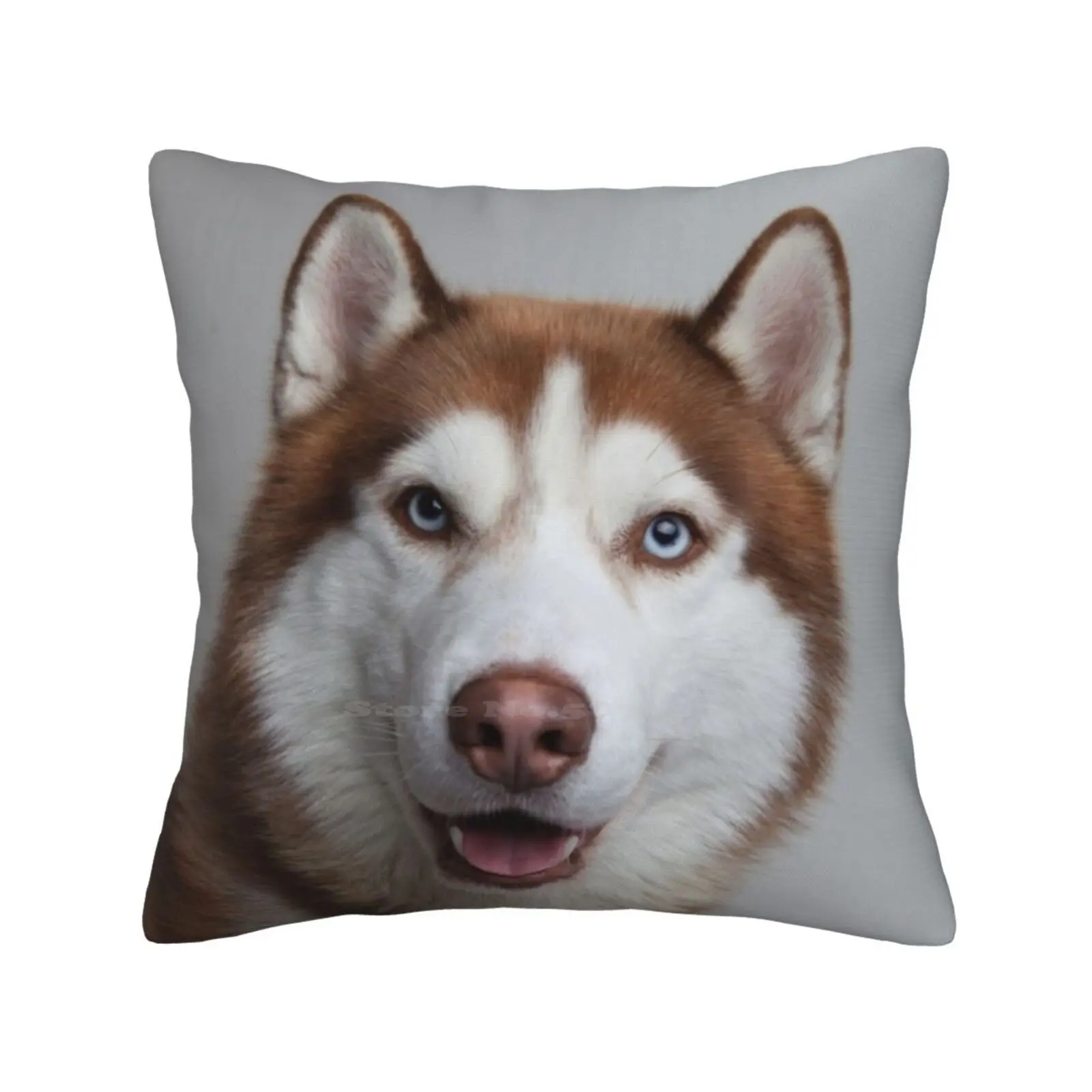 Hero The Siberian Husky Fashion Sofa Throw Pillow Cover Pillowcase Husky Red Posing Scandinavia Born To Run Siberian Snow Dog