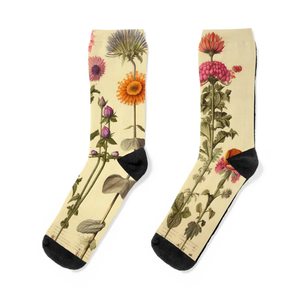 

Old Plant Drawings of Horticulture and Botany Socks halloween Children's luxe short Luxury Woman Socks Men's