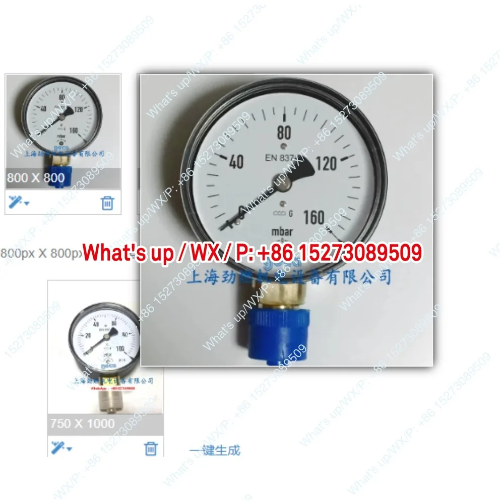 0-100mbar/0-160mbar/0-250mbar/0-400mbar Gas pressure gauge
