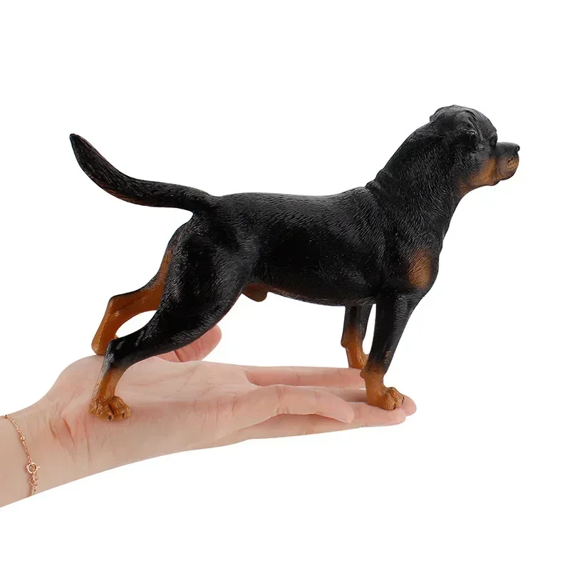 Decoration Simulation Static Rottweiler Pet Dog Model Children's Famous Dog Guard Dog Hand-made Decoration Toy