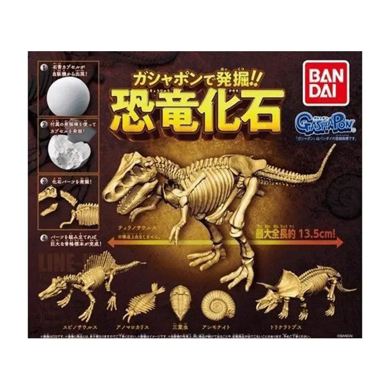 Japanese Bandai Genuine Gacha Scale Model Excavating Dinosaur Fossil Plaster Ball Packaging Decoration Action Figure Toys