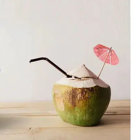 Manual Coconut Open…