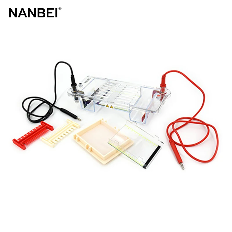 laboratory 120ml capacity horizontal agarose gel electrophoresis