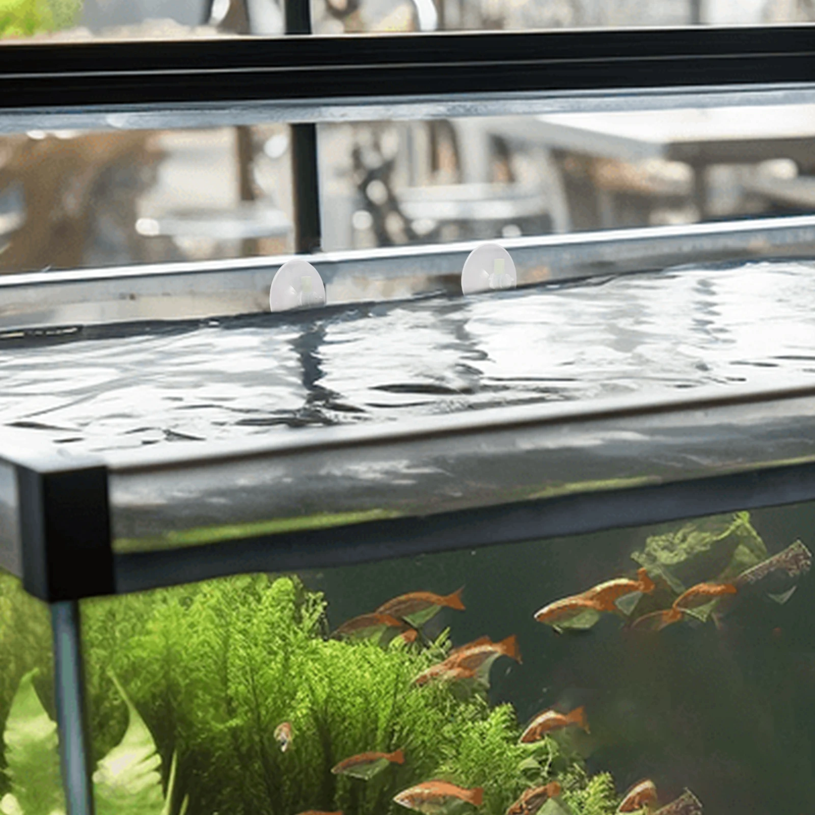 

Floating Plant Fence Aquarium Separator Floating Plants Holder Fish Tank Feeding Ring Isolation Tool Fish Tank Plants Ring