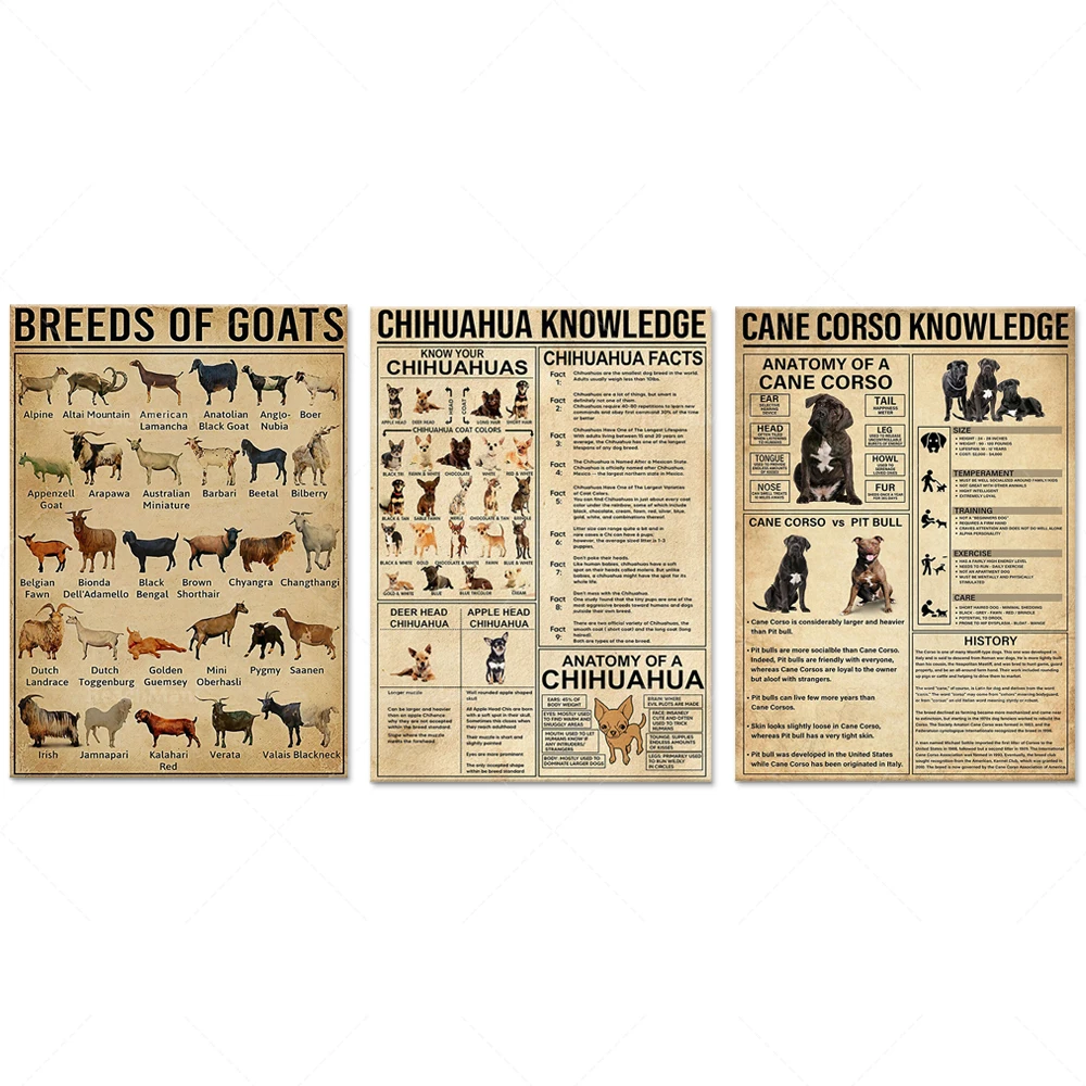 Cane Corso Know Ledge, Chihuahua Knowledge-, Goat Breed Animal Print, Affiche murale en toile