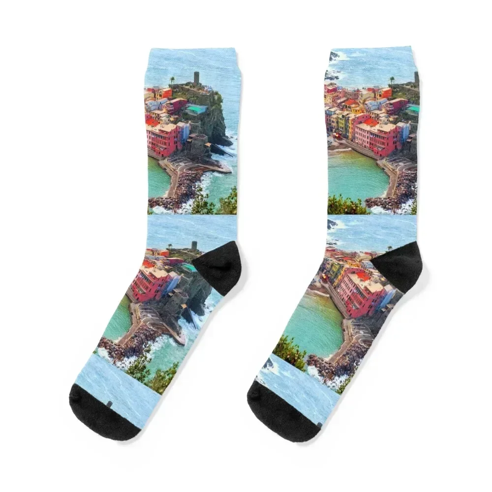 

Cinque Terre Socks Non-slip crazy warm winter man Socks For Girls Men's