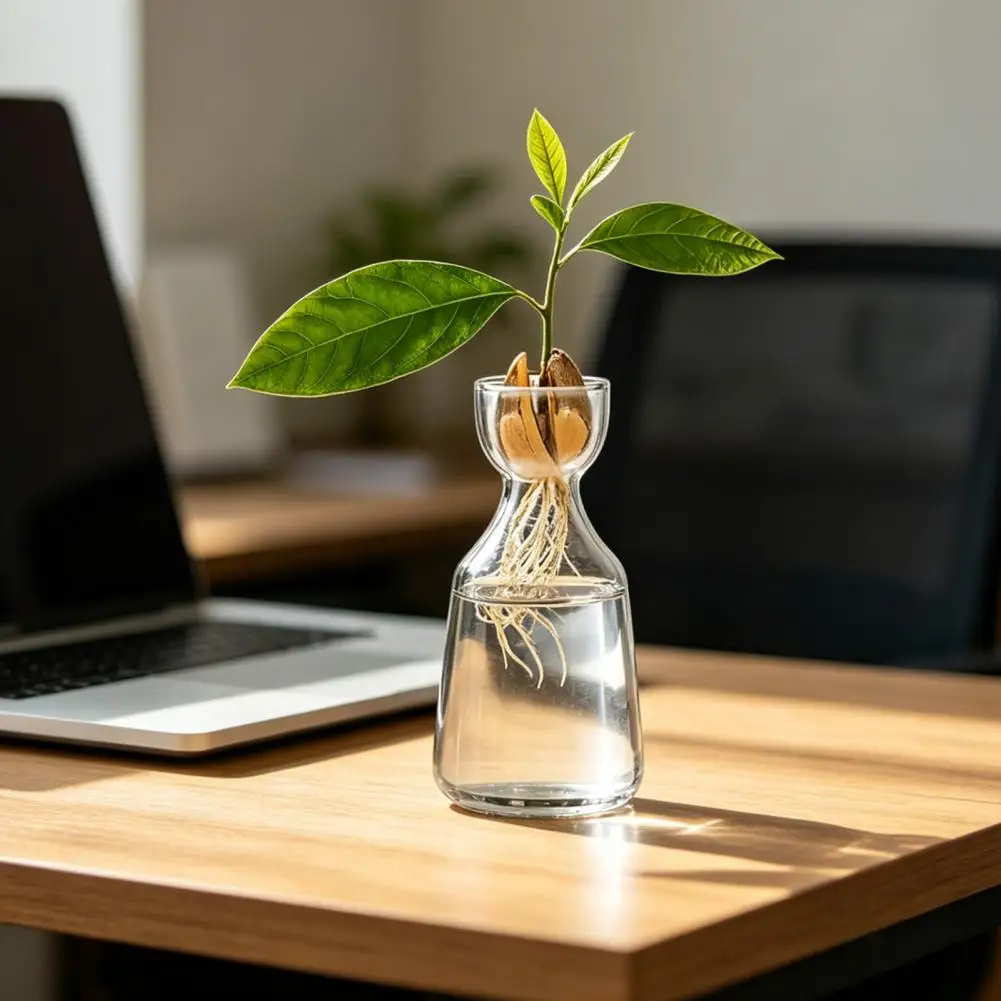 Plant Holder Unique Glass Vase Glass Hydroponic Vase for Plant Propagation Avocado Bulb Growing Container Artistic for Home