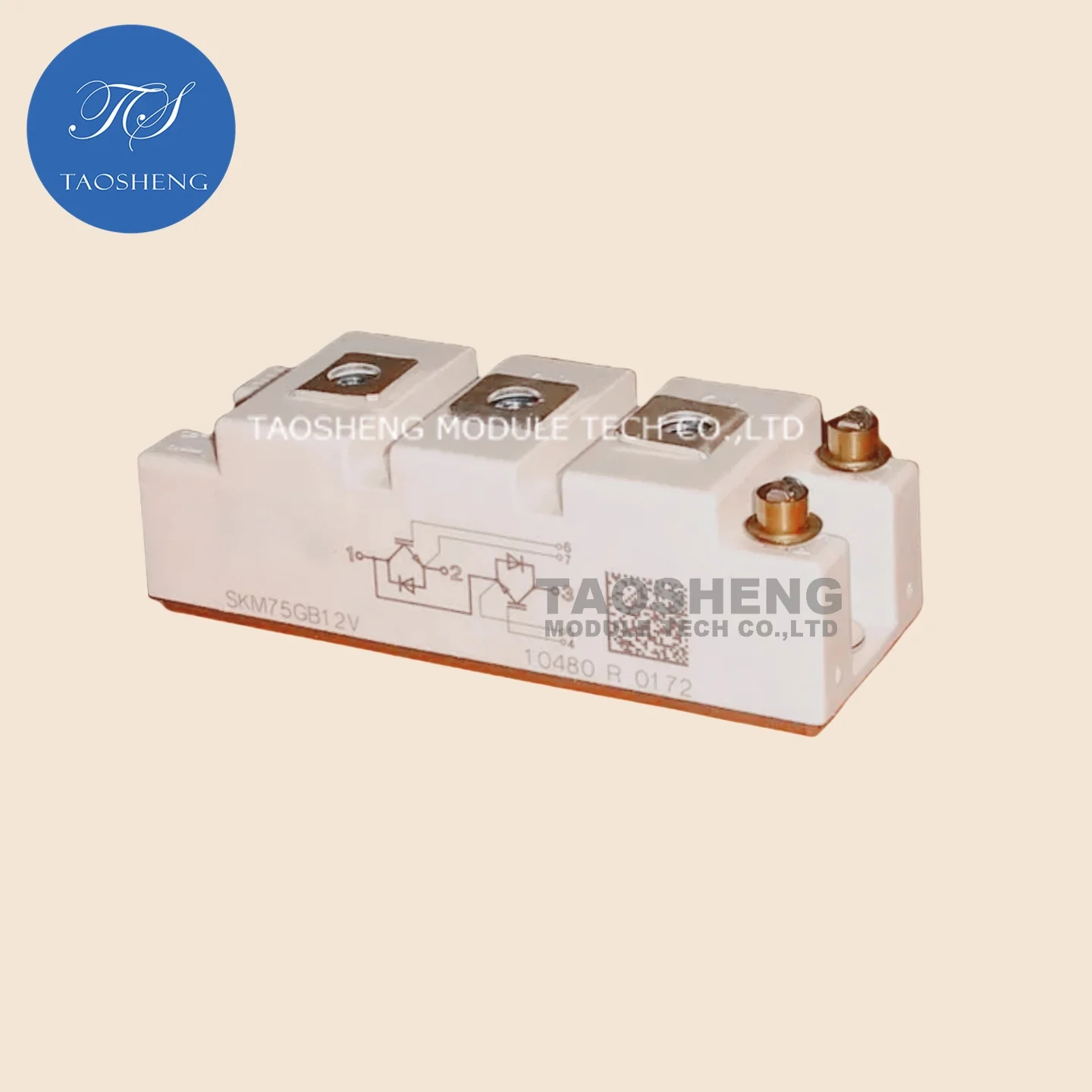 

1 шт. SKM75GB12V 75A/1200V Новый и оригинальный модуль IGBT【TAOSHENG】 # TS018