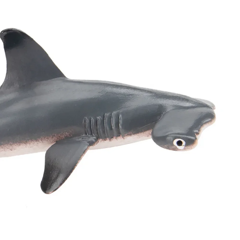 Toymany シミュレーションシュモクザメ海洋動物モデルおもちゃミニフィギュア人形アクション置物おもちゃ子供のギフトケーキの装飾