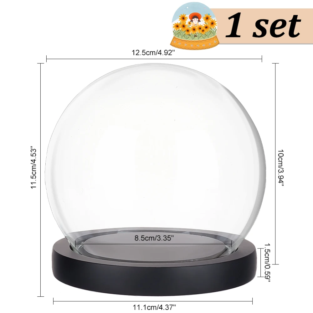 Helder glazen koepeldisplay Balvormige vitrine van helder glas met tarwehouten basis Decoratieve displaykoepelkoffer voor planten