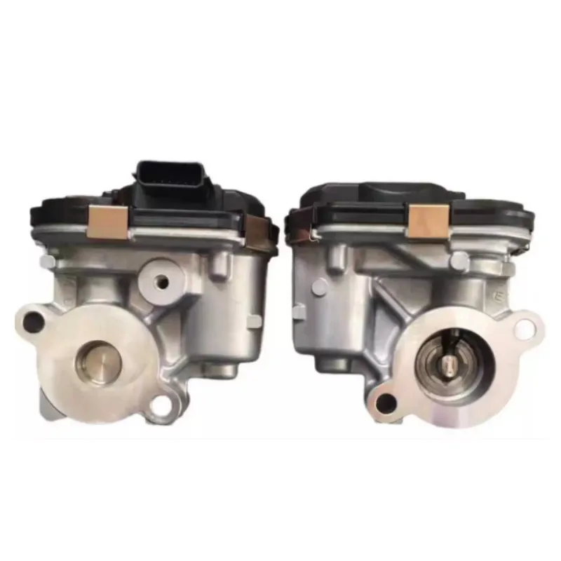 EGR Valve Assembly, Exhaust Gas Recirculation Valve