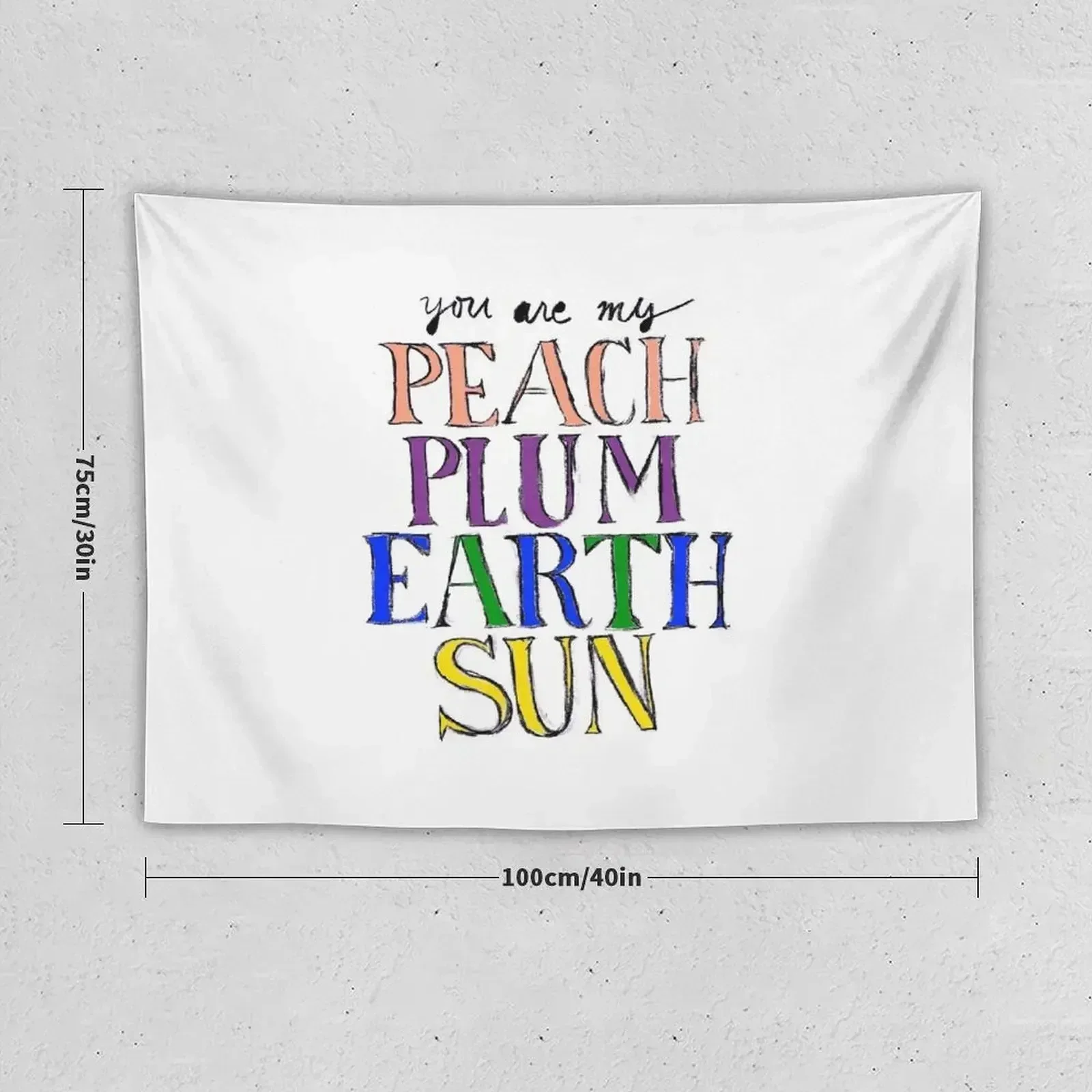 The Front Bottoms Peach Tapestry Room Aesthetic Home Decorations Hanging Wall Tapestry