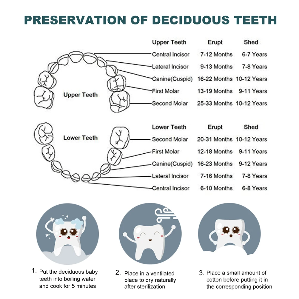 

Deciduous Teeth Preservation Box Baby Tooth Holder Pink Kids Keepsake Child Memory Milestone Storage Container