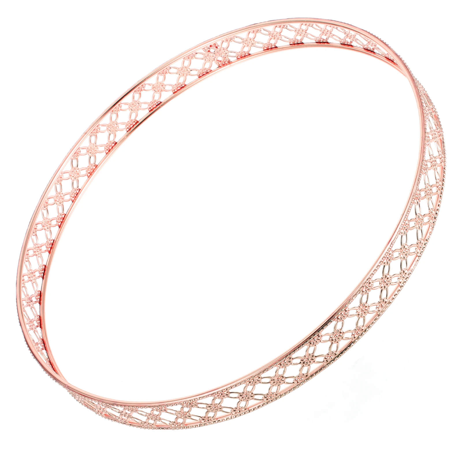 

Aerial Pendant Bracket Air Plant Hanging Ring Replacement Decoration Accessories Pineapple Plants Multifunctional DIY Iron Round